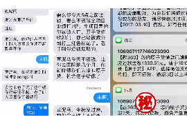 海东为什么选择专业追讨公司来处理您的债务纠纷？